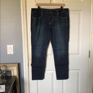 American Eagle Jegging Jeans Size 14 Short